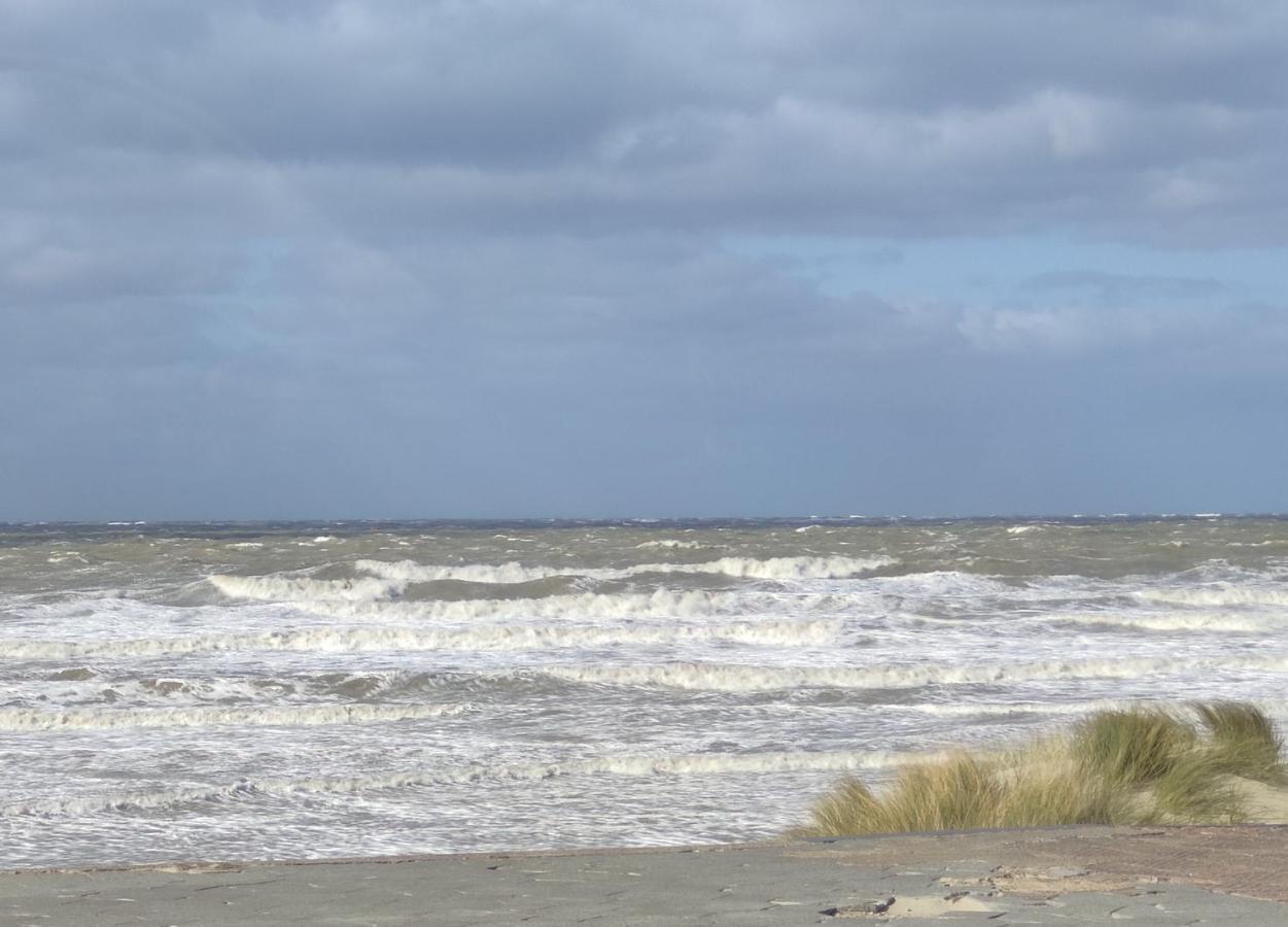 Plage Et Jardin A Malo Les Bains Dunkirk Exterior photo